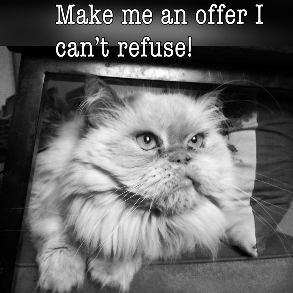 Make us an offer!